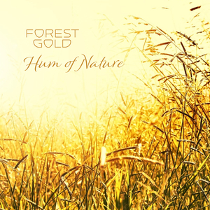 并木塔子义寝未亡人最经典的一部
