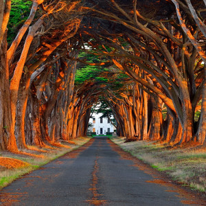 并木塔子义寝未亡人最经典的一部
